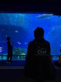 IMG-20260404-WA0011